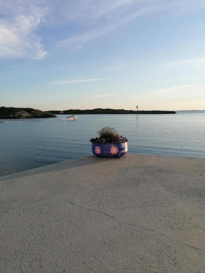 Seaview Karmoy Apartment Saeveland